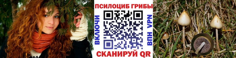 Псилоцибиновые грибы Psilocybine cubensis  дарнет шоп  Тольятти 